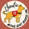 goodboy_charlie