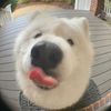 nunujunggg