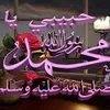azizaelamri6