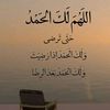 user3561283323