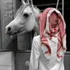 ox____8x