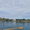 whattheflipperflapper0