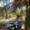 agus_kyz