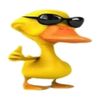 komodo_30001