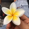 nhatotsg.com