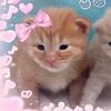 theyluv_jaine
