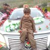 tigreafghan3