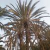 user9029510132232