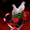 maisa.jannat.taluk