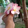 muniya.islam214