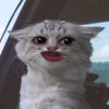 manasha_22