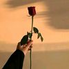user4154115073751