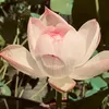 _08_th9