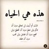 user1134632017313