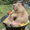 au.com7070