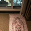 sallykhaled377