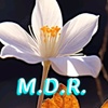 _m.d.r