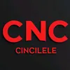 cincilele