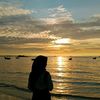 septi.wln
