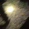 betmen_supe