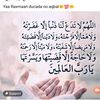 mohamedapdirashi2