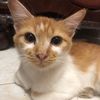 fahmifaiq7