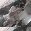 phmhng0231