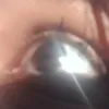 adrieleguimares58