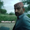 shahbazalizardari01