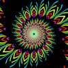 user1815707713081xurshed