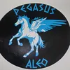 pegasus0916