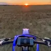 dylan_375_