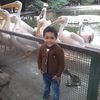 apelo5648