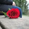 camille.camila37