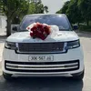 snnguyn7985