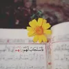 zahraanahi7