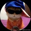 dylanmoreira84