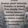 amedli21_471