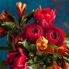 yusuf_alhassan442