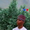 usmanrehe0