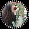 user28061731422995