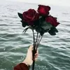 sara.sarita.98