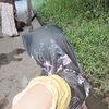 fitriaryanti088