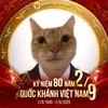 nguyn.qun9193