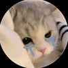 tomm0086