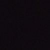 rayyann.al15