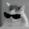 anhduyy_82kt