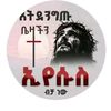toleebekele2
