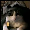 frank_05290