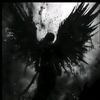 angelzcs4